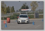stfr3877.jpg